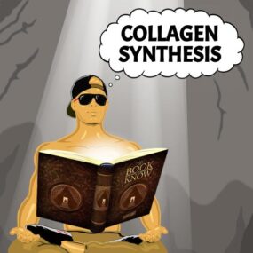 Collagen Synthesis